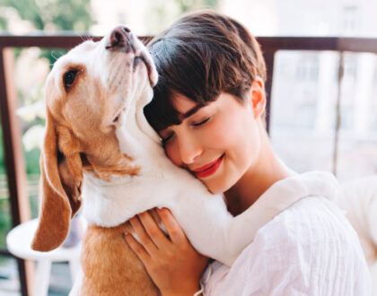 Pets